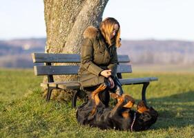 Rottweiler on a walk with his owner on a green meadoRottweiler somersaults on walk with owner photo