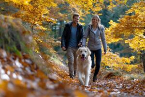 Couples enjoying a walk with a golden retriever in colorful autu photo