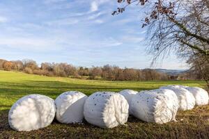 Bales of hay wrapped in film on an empty pasture close-upCloseup of filmwrapped hay bales pasture photo