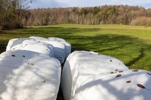 Bales of hay wrapped in film on an empty pasture close-upCloseup view of hay bales wrapped in film photo