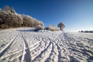 Snowy winter in the meadow and forest under the blue sky photo
