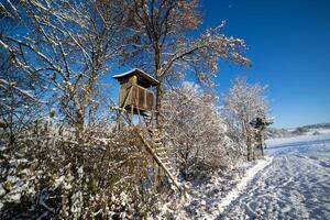 Hunting tower at edge of the winter forestHunting Tower Edge Winter Forest photo
