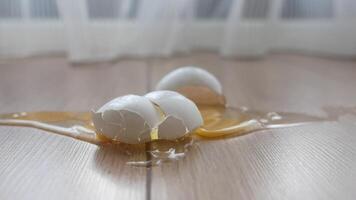 Broken eggs on floor create a messy situation video