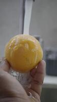 Washing fresh lemon for cooking or beverage preparation video