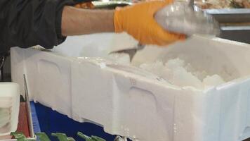 Fresh fish in a market stall on a busy afternoon video