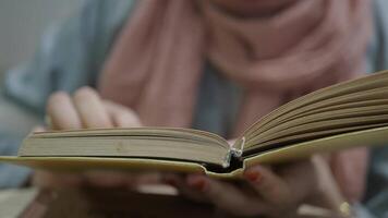 Reading an engaging book in a cozy indoor space video
