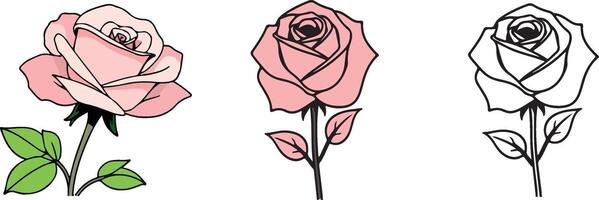 Rose sets. isolated illustration on white background vector