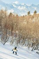 Female snowboarder ski on white slope with white mountains background and fir forest view photo