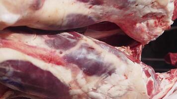 Close-up of fresh meat at a local market in daylight video