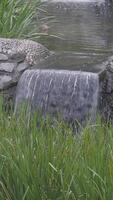 Cascading waterflow in a serene garden setting video