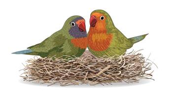 Two colorful parrots in a nest vector