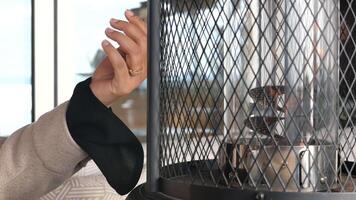 Warmth from a cozy heater while relaxing indoors video