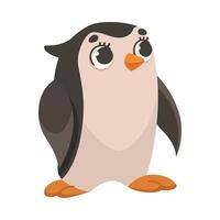Penguin Polar Animal and Cold Arctic Fauna Illustration vector