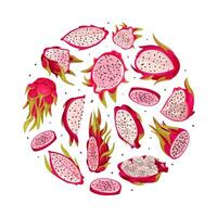 Pitaya or Dragon Fruit Round Composition Design with Tropical Plant Template vector