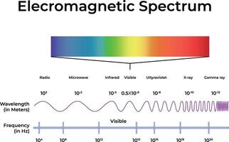 Electromagnetic Spectrum Visualization Illustration vector