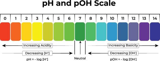 pH and pOH Scale Visual Guide to Acidity and Basicity vector