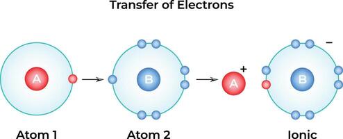 Transfer of Electrons Science Design Illustration Diagram vector