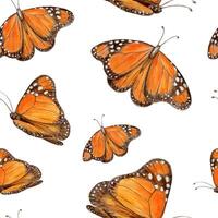 Orange butterflies flying in a pattern vector
