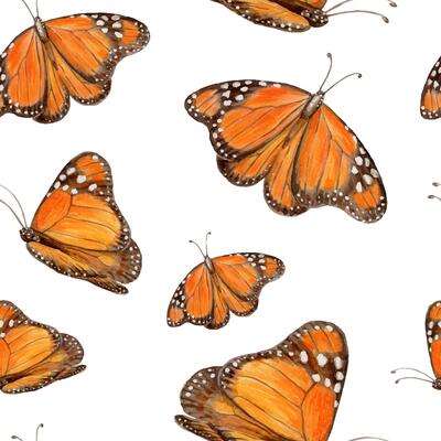 Watercolor monarch butterfly seamless pattern on white background. Hand drawn orange wing butterflies. Perfect for vintage summer fabric or wallpaper. Textile design and seasonal decorative projects.