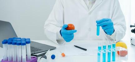 Scientist check chemical food residues in laboratory. Control experts inspect quality of fruits, vegetables. lab, hazards, ROHs, find prohibited substances, contaminate photo