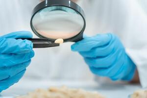 Scientist use magnifying glass to check physical occur from chemical on fruit and whole grains residues in laboratory. inspect the concentration of chemical residues, standard, find prohibited. photo