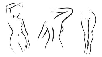 Graceful Female Silhouettes in Minimalist Line Art vector