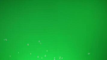 soap bubbles, flying soap bubbles, floating soap bubbles on chroma key green screen background, 4k for happy and funny playful concept video