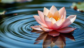 close up view of a lotus flower floating on calm water, its soft pale pink petals unfolding serenely while reflecting gentle ripples and filtered sunlight. photo