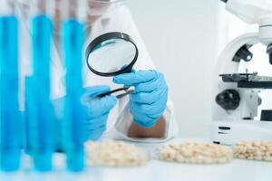 Scientist magnifying glass to check physical occur from chemical on fruit and whole grains residues in laboratory. inspect the concentration of chemical residues, standard, find prohibited photo