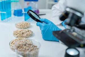 Scientist use magnifying glass to check physical occur from chemical on fruit and whole grains residues in laboratory. inspect the concentration of chemical residues, standard photo