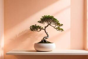 Serene Bonsai Tree on White Shelf with Soft Peach Wall and Shadow Play photo