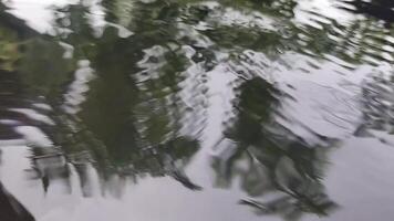 ripples of water surface caused by a droplet. circles and gentle waves, natural calm water motion ideal for water background or meditation themes, polluted water and reflecting environmental impact video