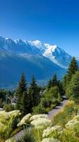 Mont Blanc mountain landscape in summer photo