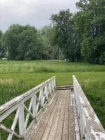 Wooden footbridge leading into lush green meadow with trees, suitable for nature background photo