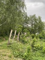 Forest path through lush greenery and wooden fence posts, suitable as a natural background photo