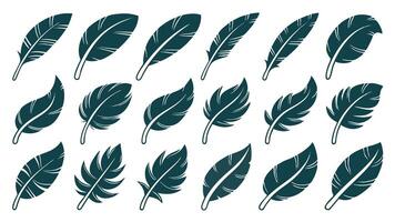 Stylish and Decorative Feather Illustrations Set in Dark Teal for Creative Design Projects vector