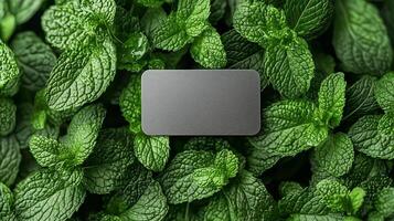 A silver card is placed in the dense green mint leaves. 6 photo