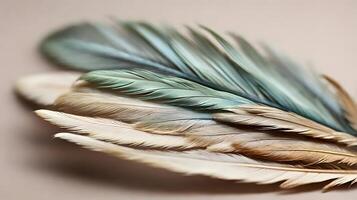 Soft Teal and Beige Feathers Close Up Macro Shot photo