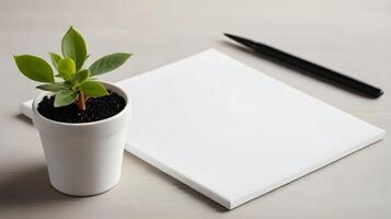 blank notebook and plant on wooden table photo