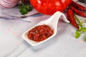 A white spoon with tomato sauce on it next to a tomato, onion and garlic photo