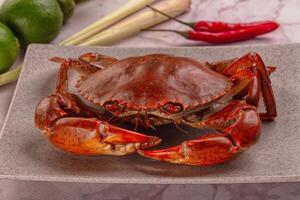 A large crab on a plate with other ingredients photo