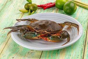 A crab on a plate with some other ingredients photo