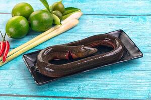 A fish on a plate with lime and green peppers photo