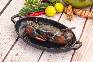 A black crab in a pan with vegetables and spices photo