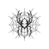 hand drawn spider on spider web illustrations for tattoo designs vector