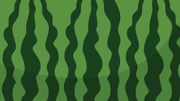 Flat watermelon striped rind pattern background vector