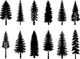 Silhouette Collection of Ten Evergreen Trees with Varied Branch Structures and Heights vector