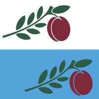 Two different images of fruit and leaves vector