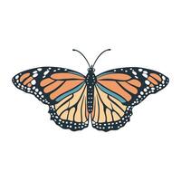 A stylized illustration of a monarch butterfly is centered against a white background. Its wings display characteristic orange black and white patterns with subtle blue accents. vector