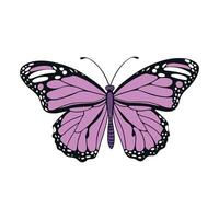 A beautifully illustrated purple butterfly with black and white wing accents on a white background vector